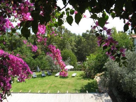 Hotel Heleni Apartments Epidaurus Esterno foto